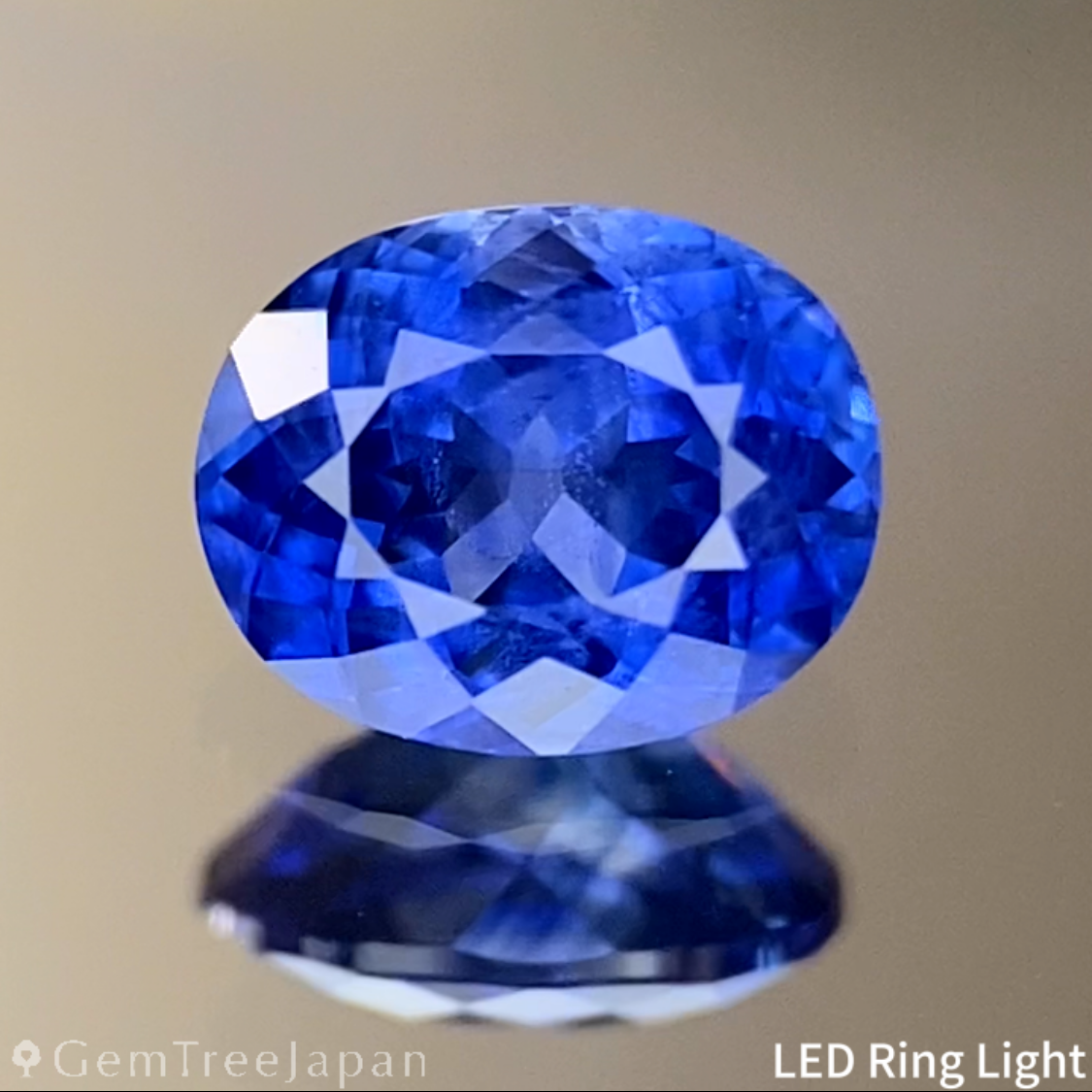 Cornflower Blue Sapphire 0.45ct / Burma