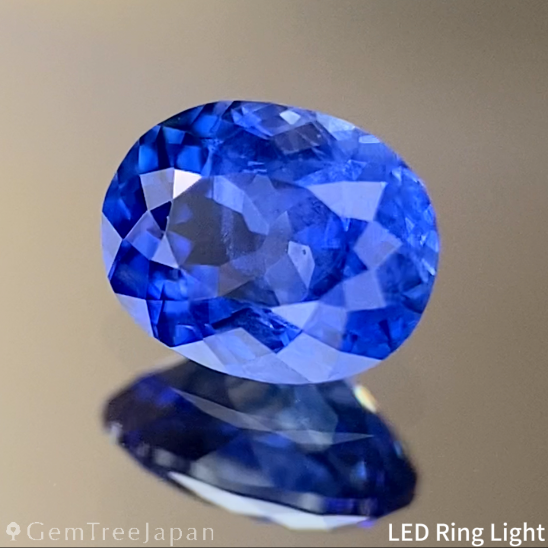 Cornflower Blue Sapphire 0.45ct / Burma