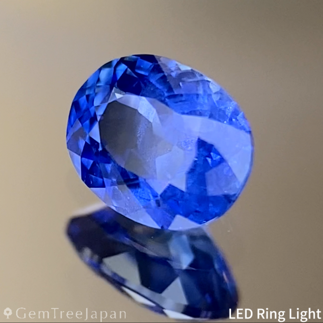 Cornflower Blue Sapphire 0.45ct / Burma