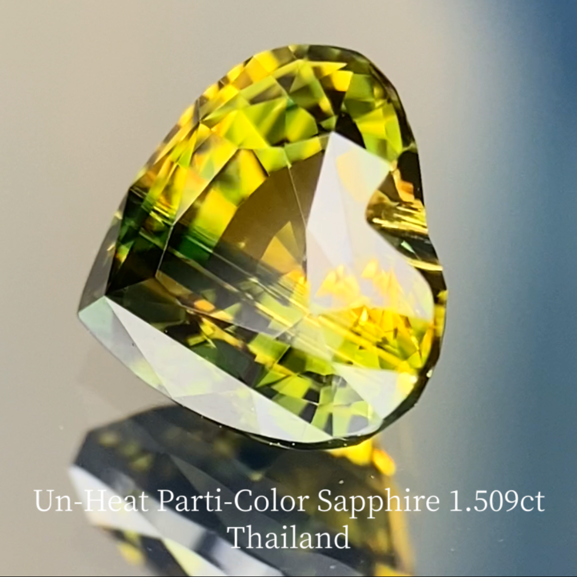 Un-Heat Parti-Color Sapphire 1.509ct / Thailand
