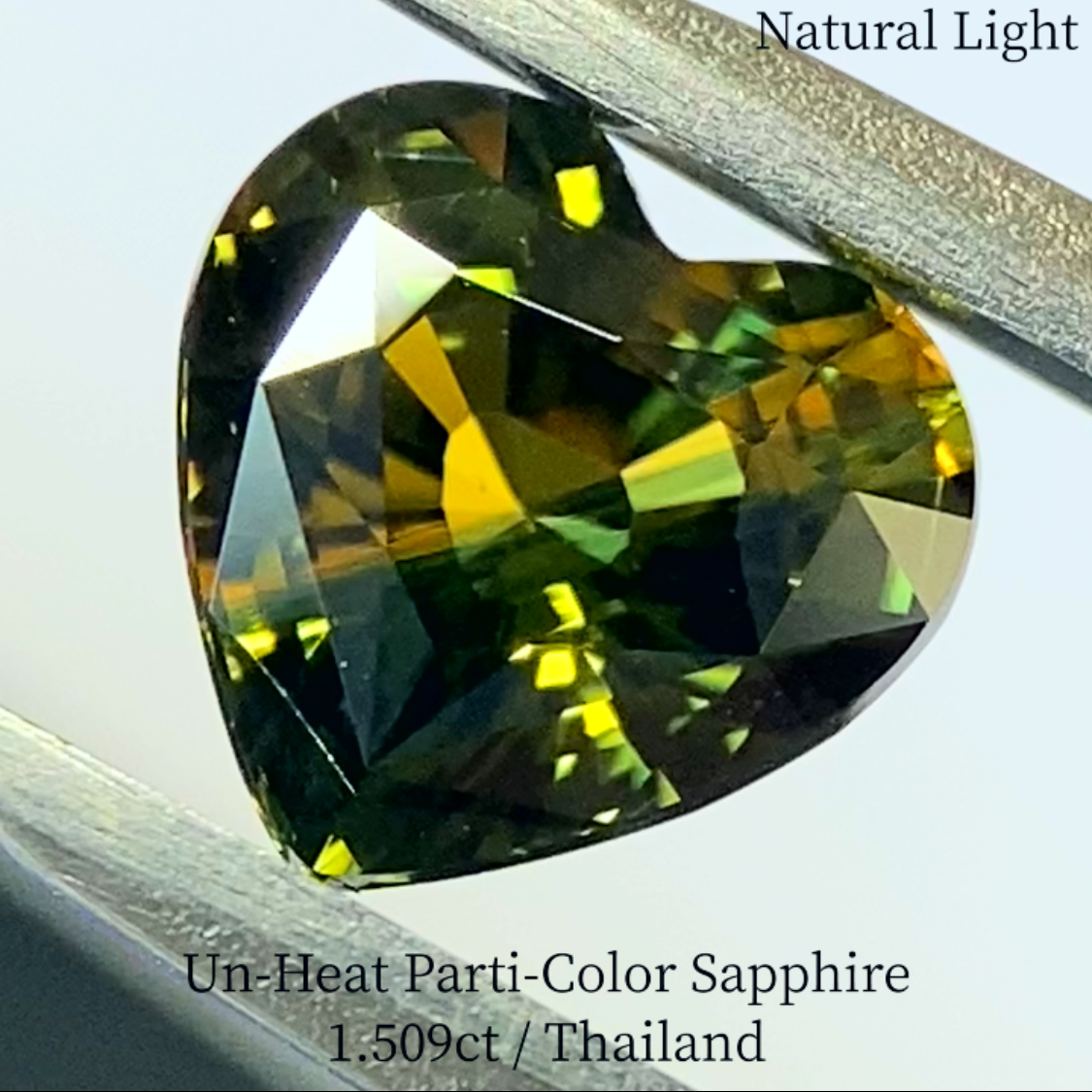 Un-Heat Parti-Color Sapphire 1.509ct / Thailand