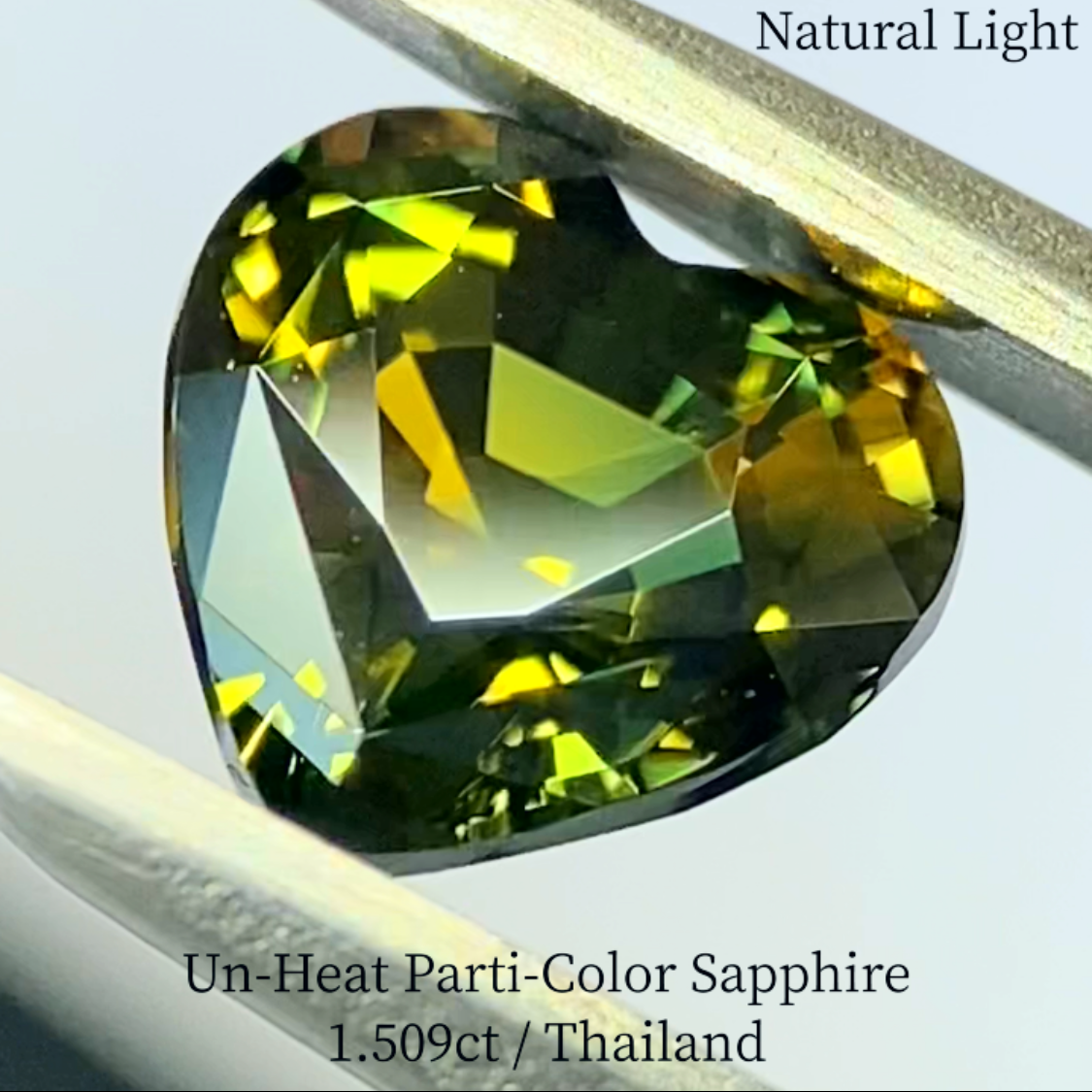 Un-Heat Parti-Color Sapphire 1.509ct / Thailand