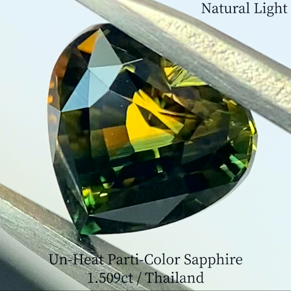 Un-Heat Parti-Color Sapphire 1.509ct / Thailand