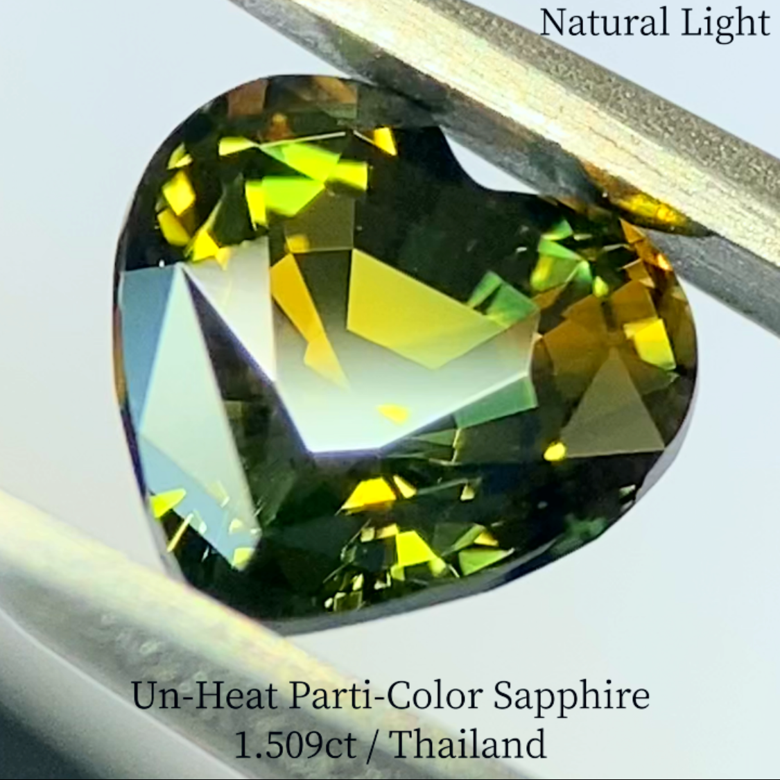 Un-Heat Parti-Color Sapphire 1.509ct / Thailand