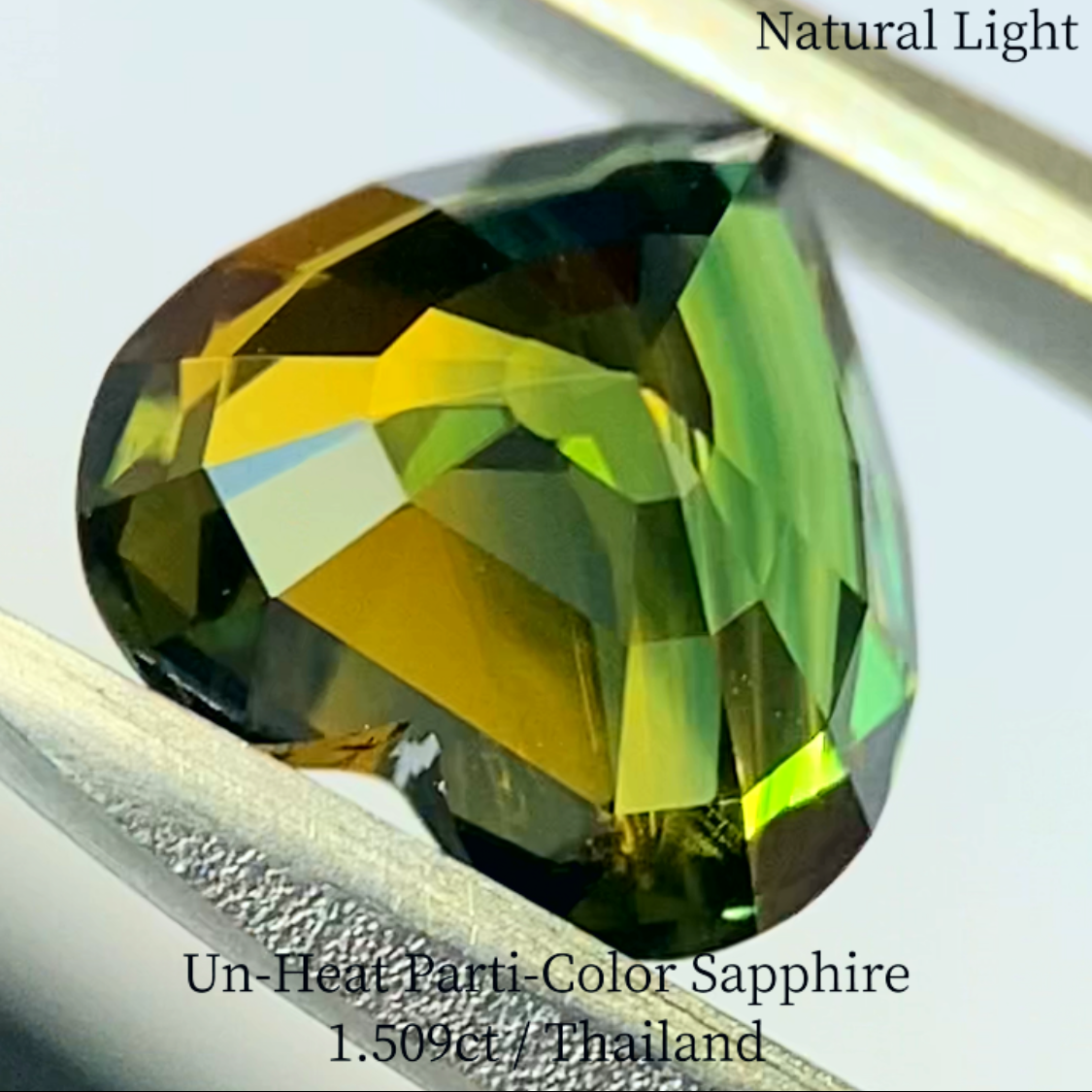 Un-Heat Parti-Color Sapphire 1.509ct / Thailand