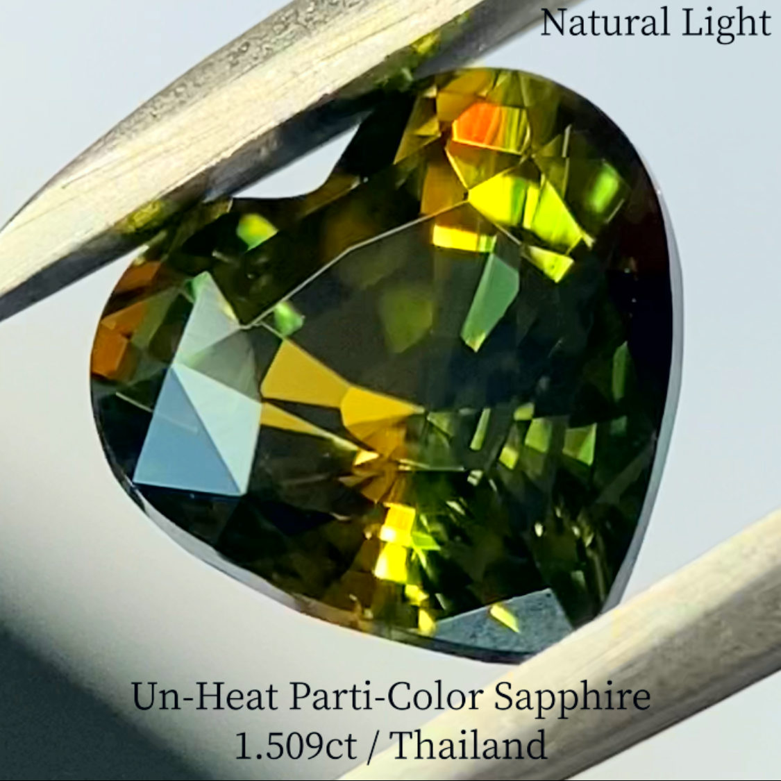 Un-Heat Parti-Color Sapphire 1.509ct / Thailand