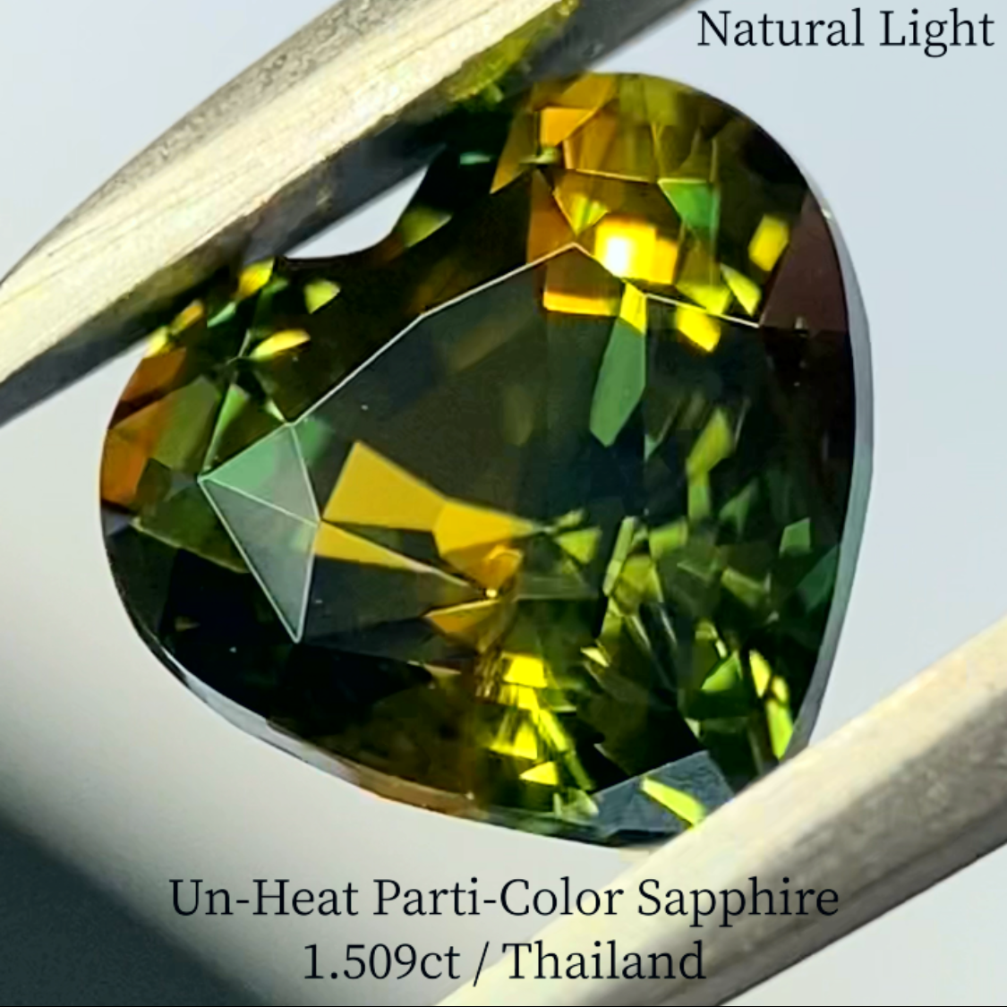 Un-Heat Parti-Color Sapphire 1.509ct / Thailand
