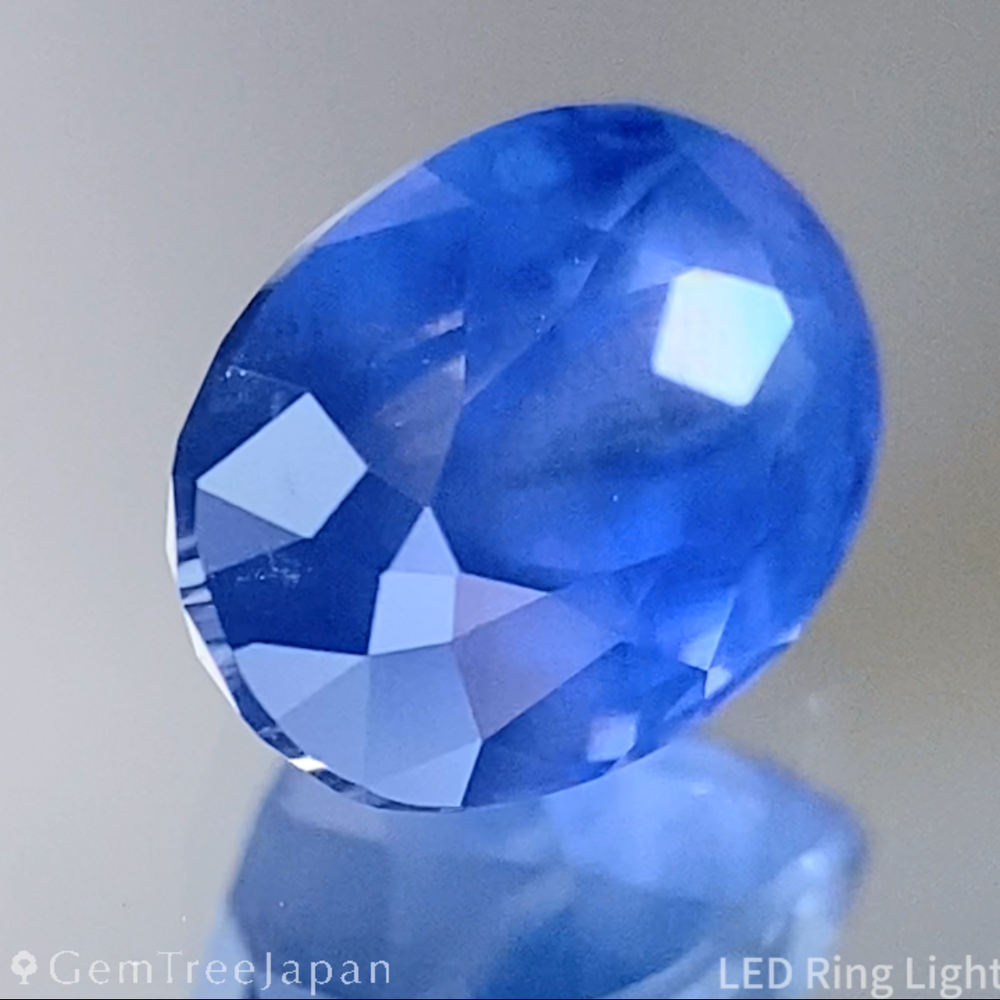 Un-Heat Sapphire 1.672ct / Sri Lanka