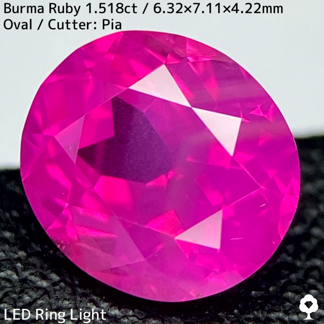 【Ruby Focus】Ruby 1.518ct / Burma