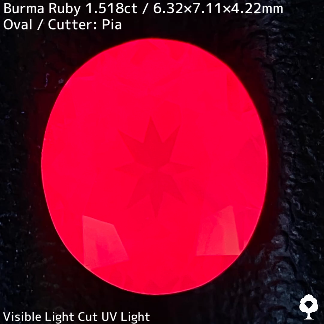 【Ruby Focus】Ruby 1.518ct / Burma