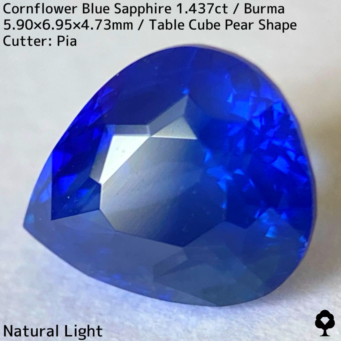 【Corundum Focus】Cornflower Blue Sapphire 1.437ct / Burma