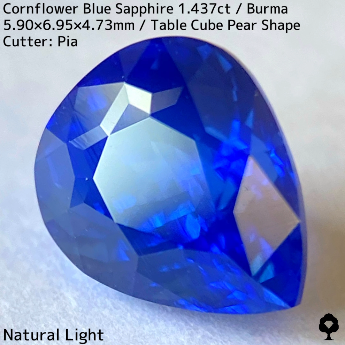 【Corundum Focus】Cornflower Blue Sapphire 1.437ct / Burma