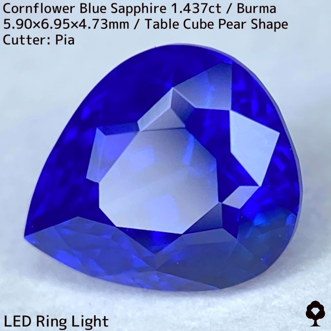 【Corundum Focus】Cornflower Blue Sapphire 1.437ct / Burma