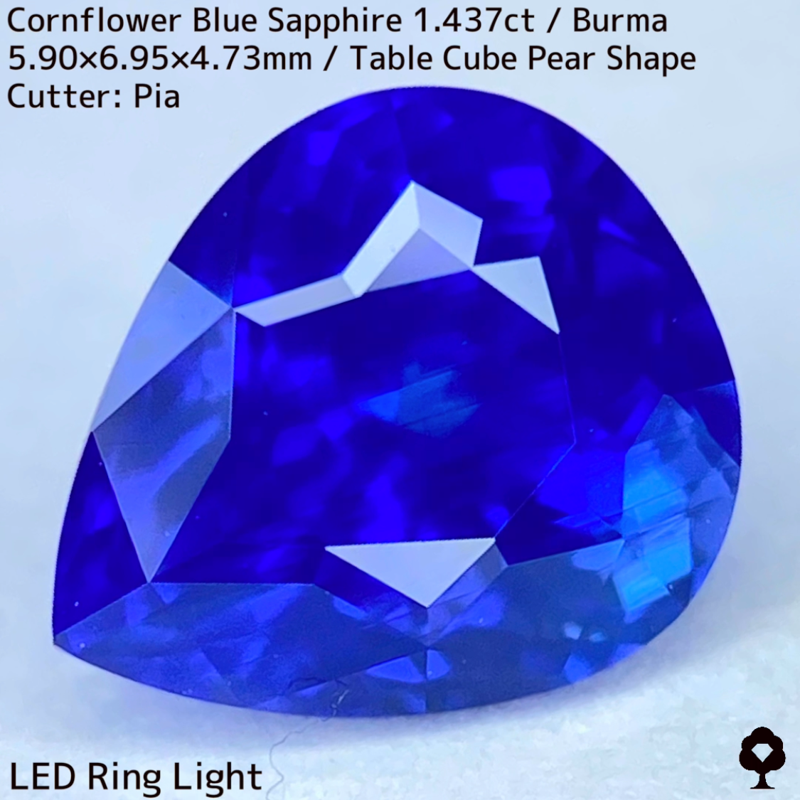 【Corundum Focus】Cornflower Blue Sapphire 1.437ct / Burma