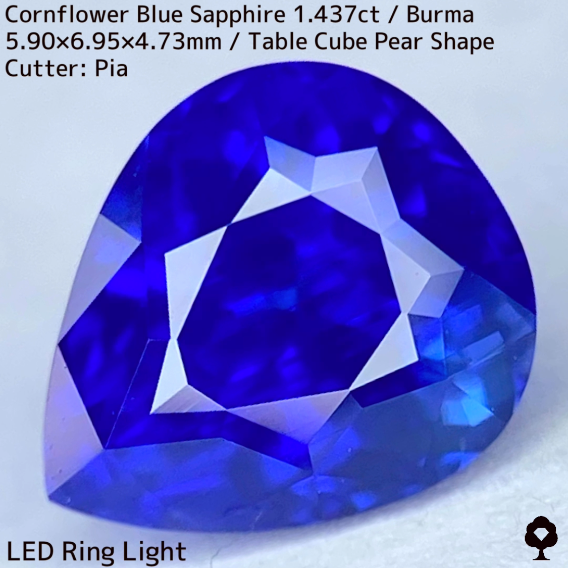 【Corundum Focus】Cornflower Blue Sapphire 1.437ct / Burma