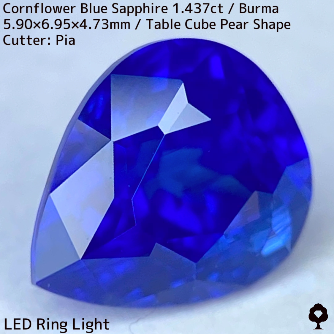 【Corundum Focus】Cornflower Blue Sapphire 1.437ct / Burma