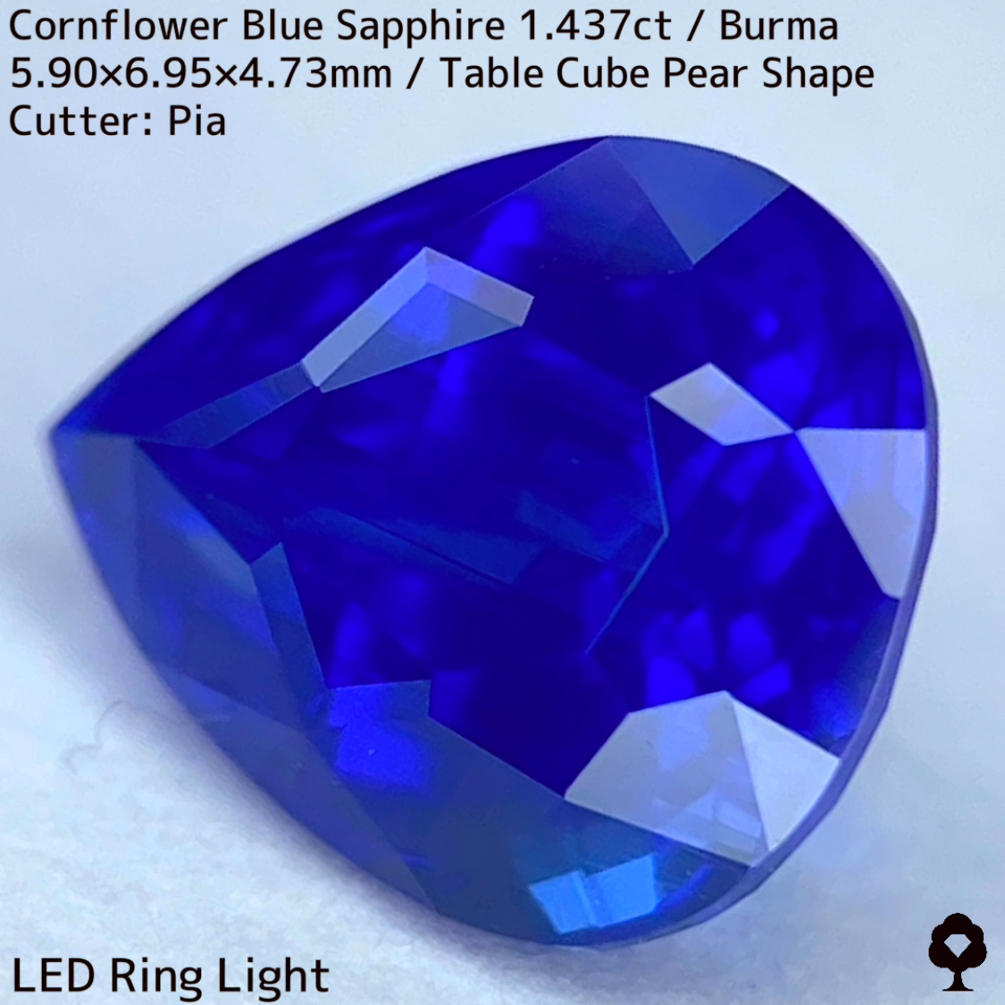 【Corundum Focus】Cornflower Blue Sapphire 1.437ct / Burma