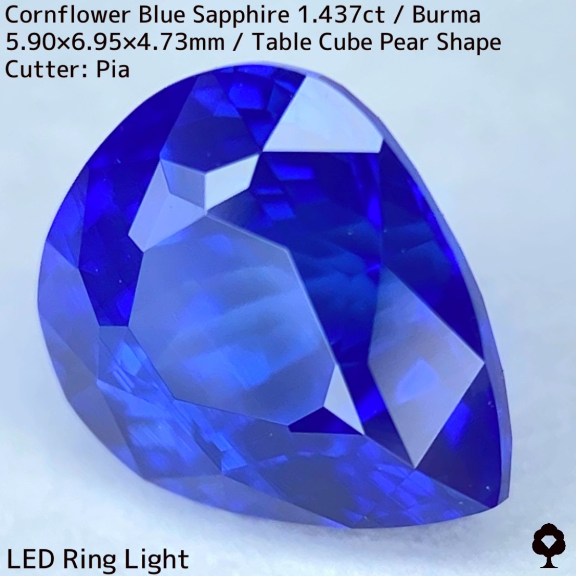 【Corundum Focus】Cornflower Blue Sapphire 1.437ct / Burma