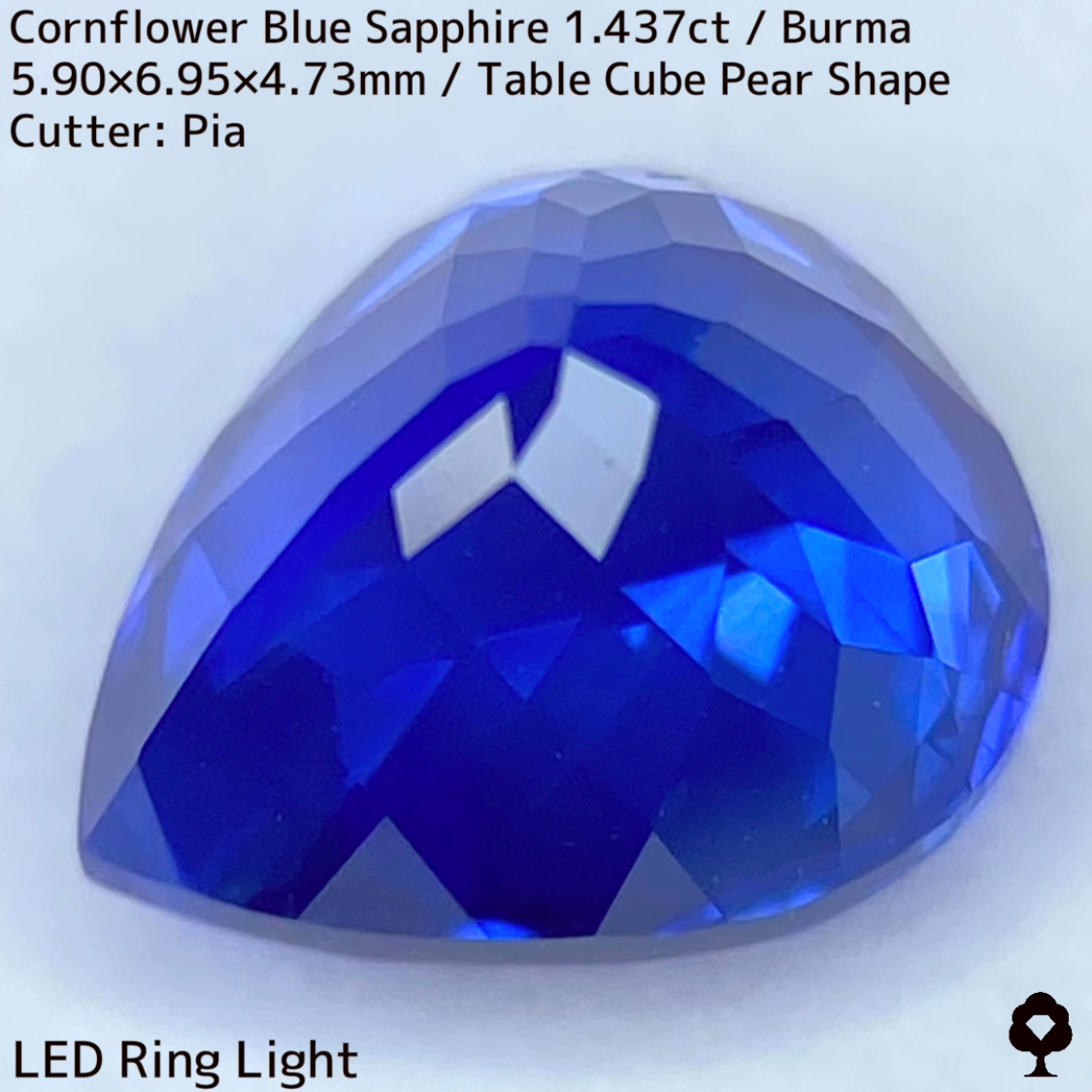 【Corundum Focus】Cornflower Blue Sapphire 1.437ct / Burma