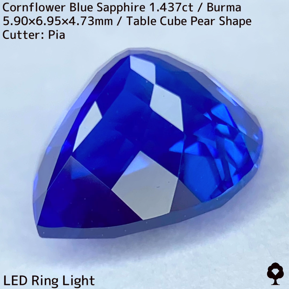 【Corundum Focus】Cornflower Blue Sapphire 1.437ct / Burma