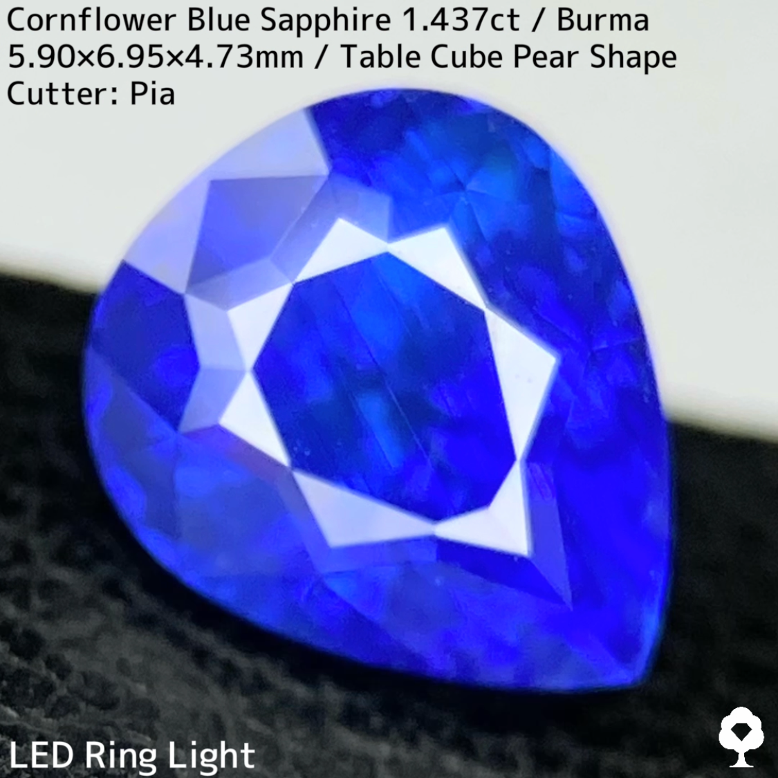 【Corundum Focus】Cornflower Blue Sapphire 1.437ct / Burma