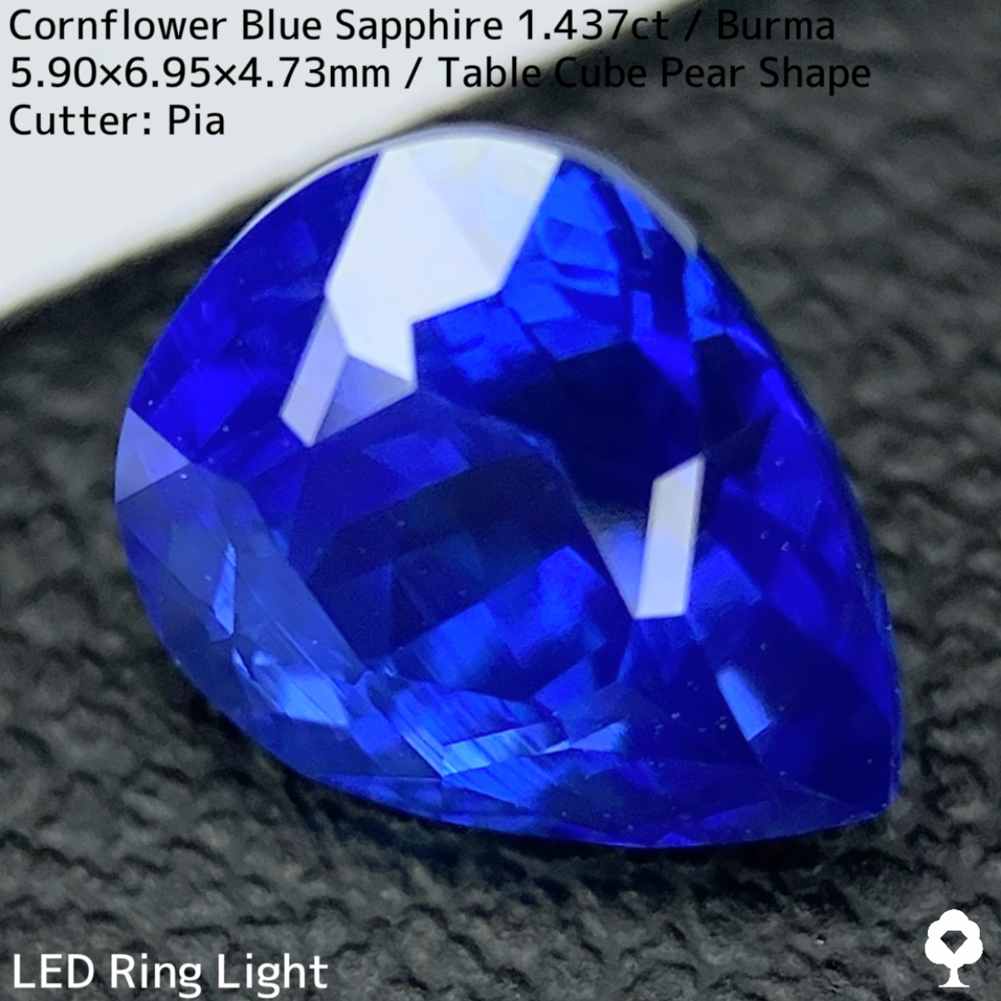 【Corundum Focus】Cornflower Blue Sapphire 1.437ct / Burma