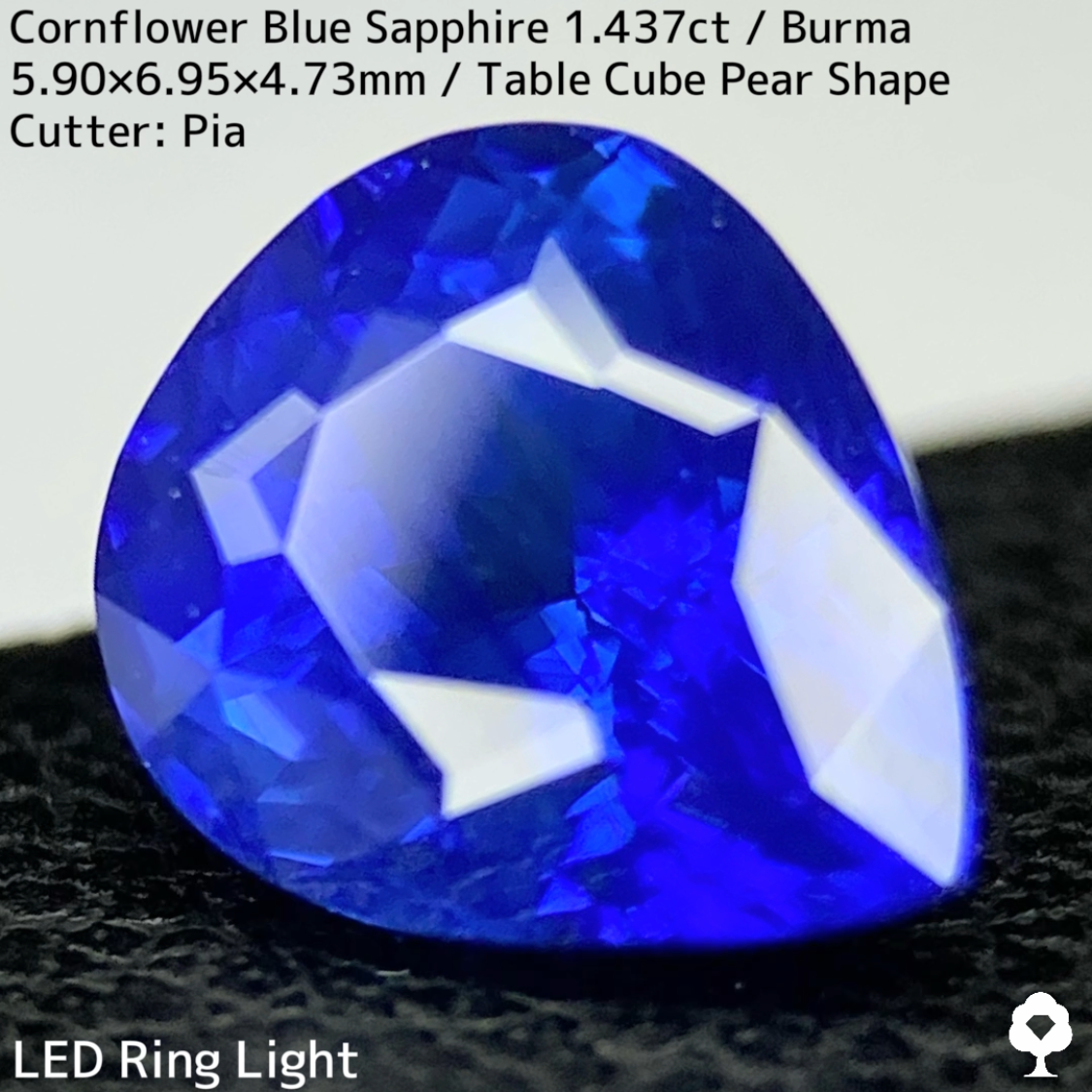 【Corundum Focus】Cornflower Blue Sapphire 1.437ct / Burma