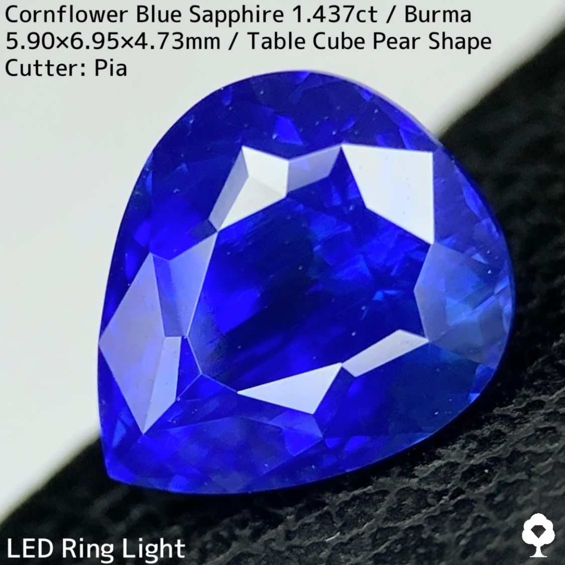 【Corundum Focus】Cornflower Blue Sapphire 1.437ct / Burma