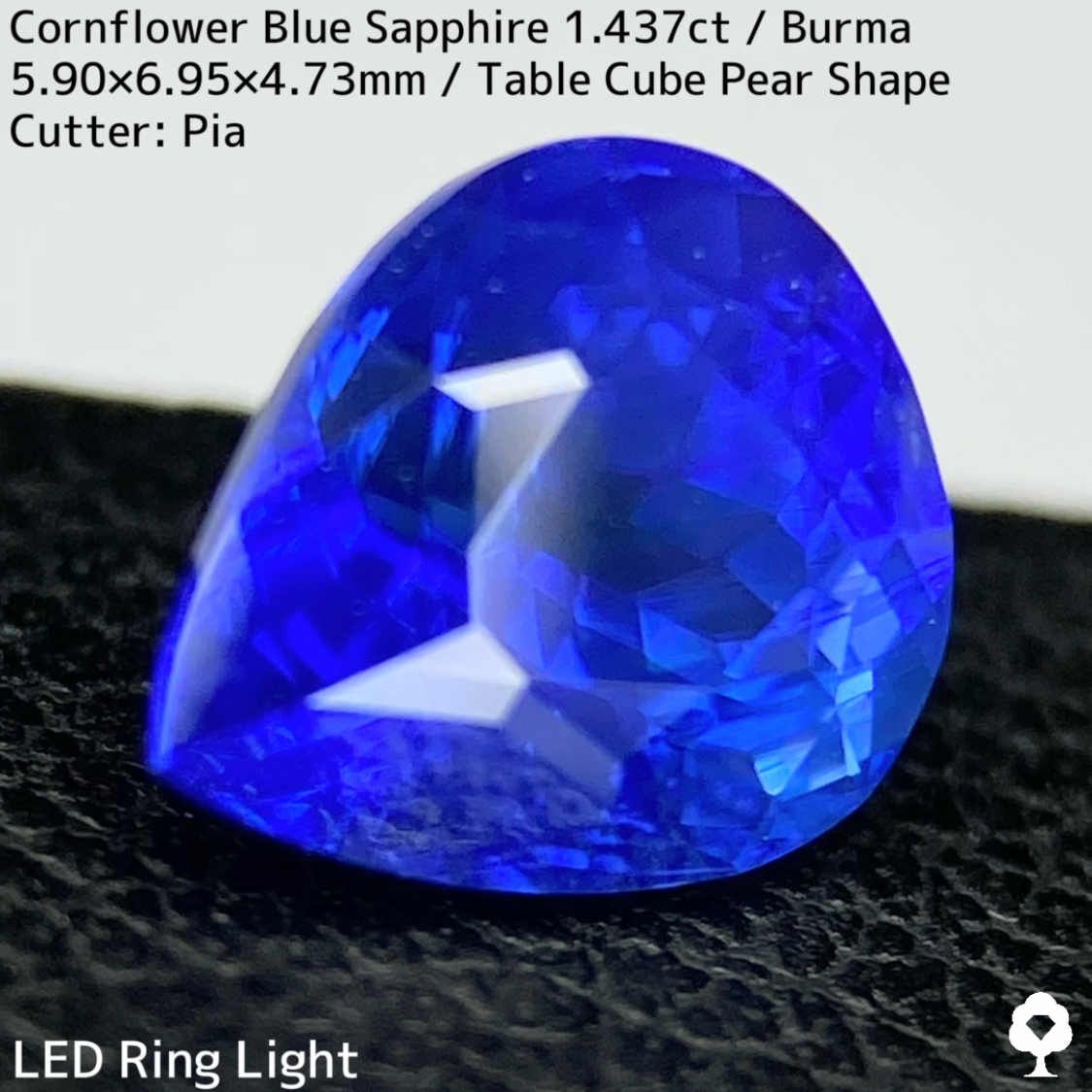 【Corundum Focus】Cornflower Blue Sapphire 1.437ct / Burma