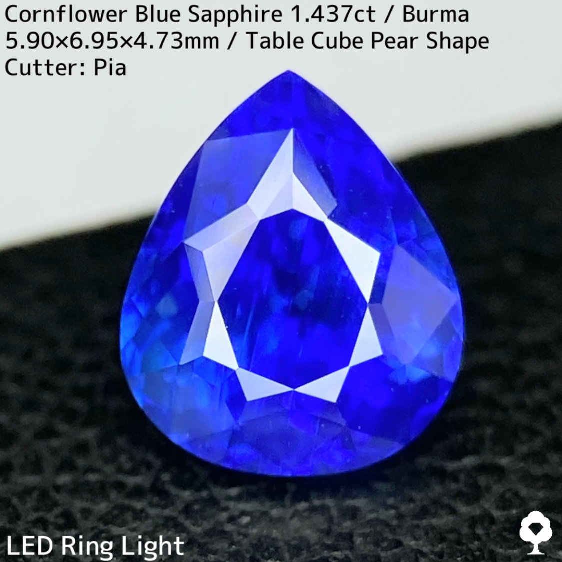 【Corundum Focus】Cornflower Blue Sapphire 1.437ct / Burma