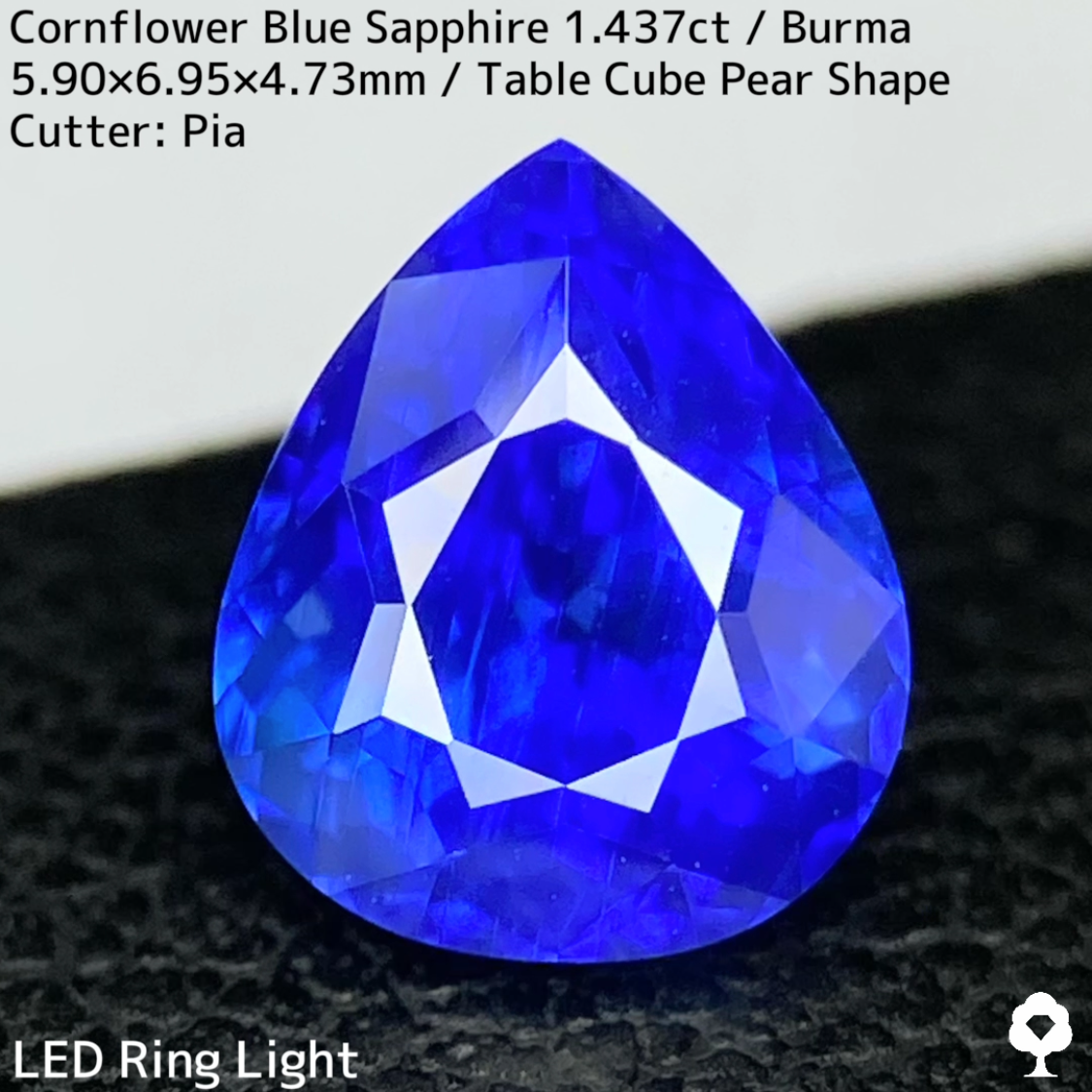 【Corundum Focus】Cornflower Blue Sapphire 1.437ct / Burma