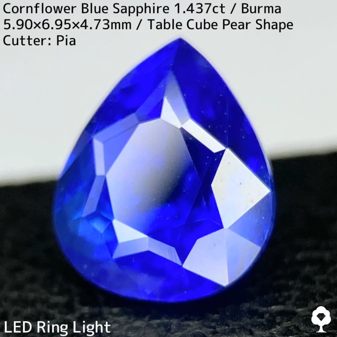【Corundum Focus】Cornflower Blue Sapphire 1.437ct / Burma