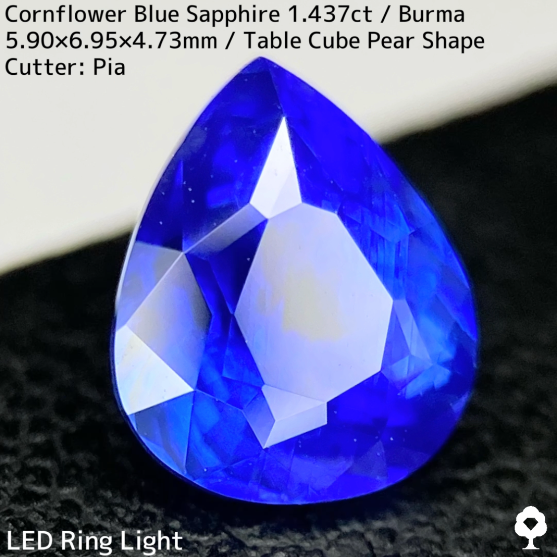 【Corundum Focus】Cornflower Blue Sapphire 1.437ct / Burma