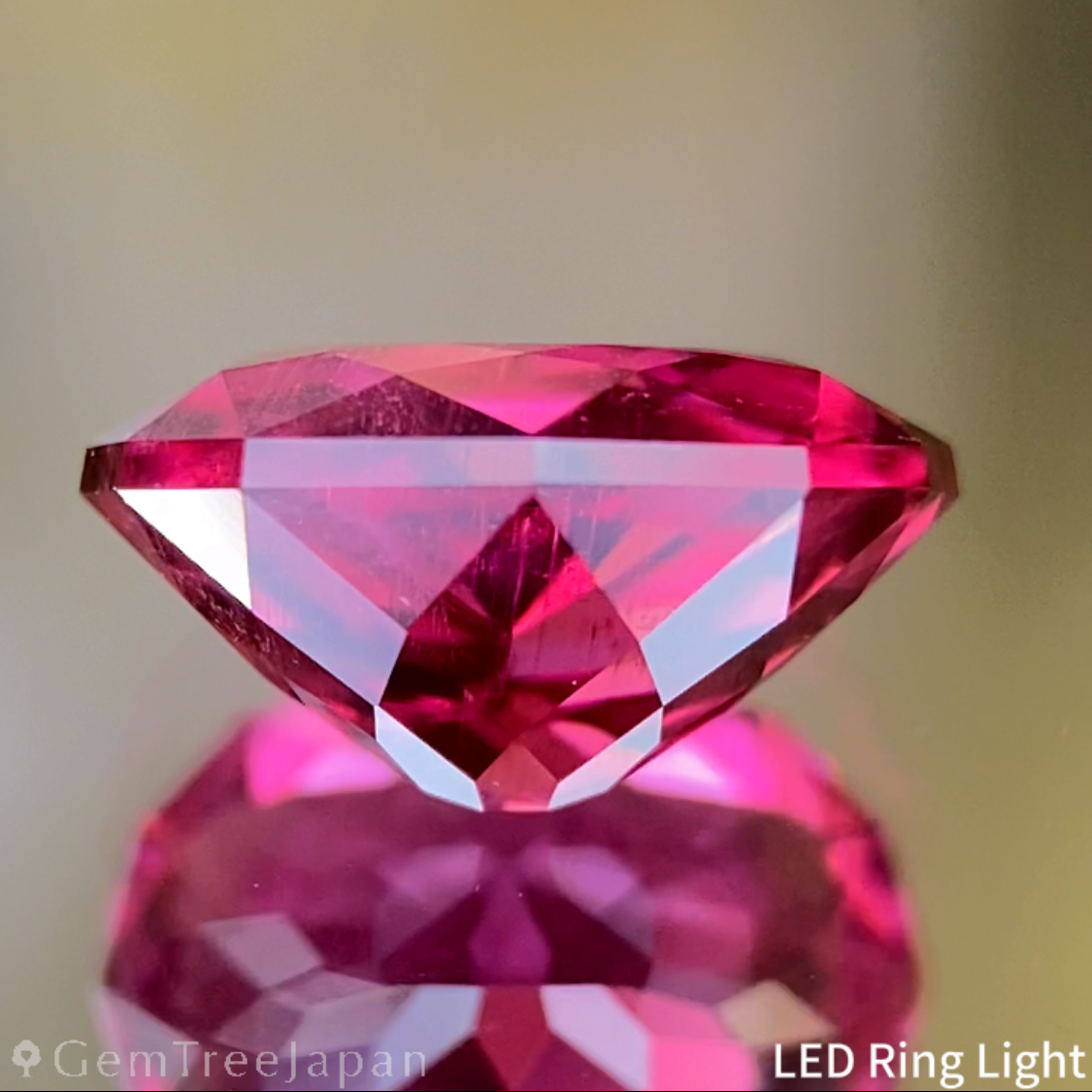 Rubelite(Tourmaline) 1.588ct / Brazil