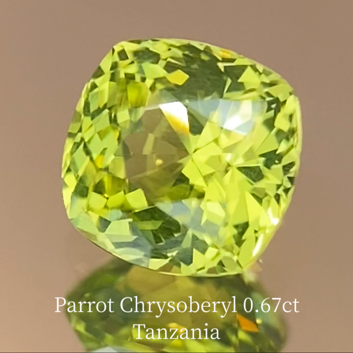 Parrot Chrysoberyl 0.685ct / Tanzania