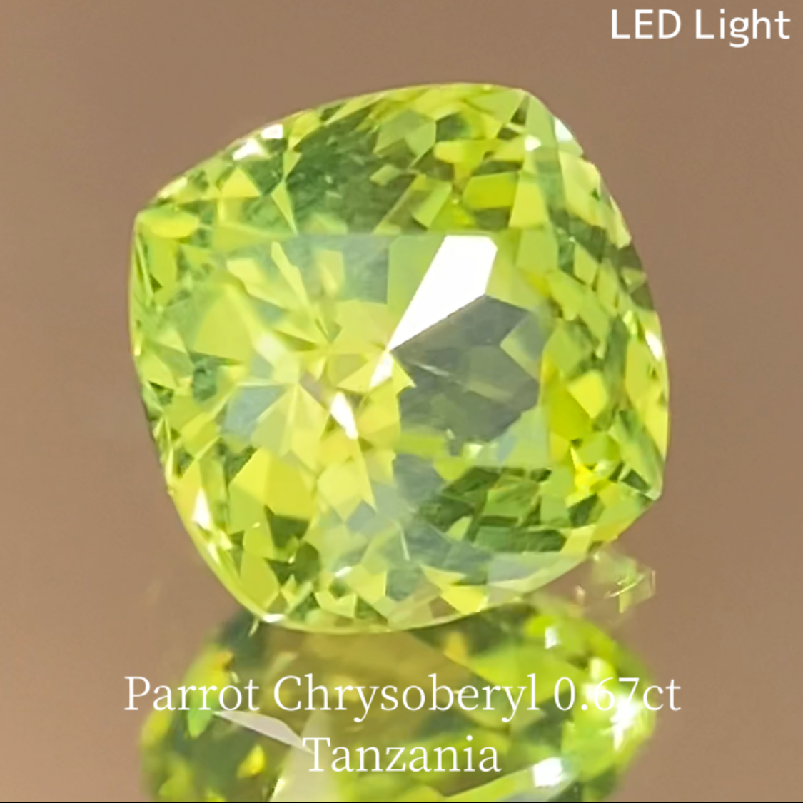 Parrot Chrysoberyl 0.685ct / Tanzania
