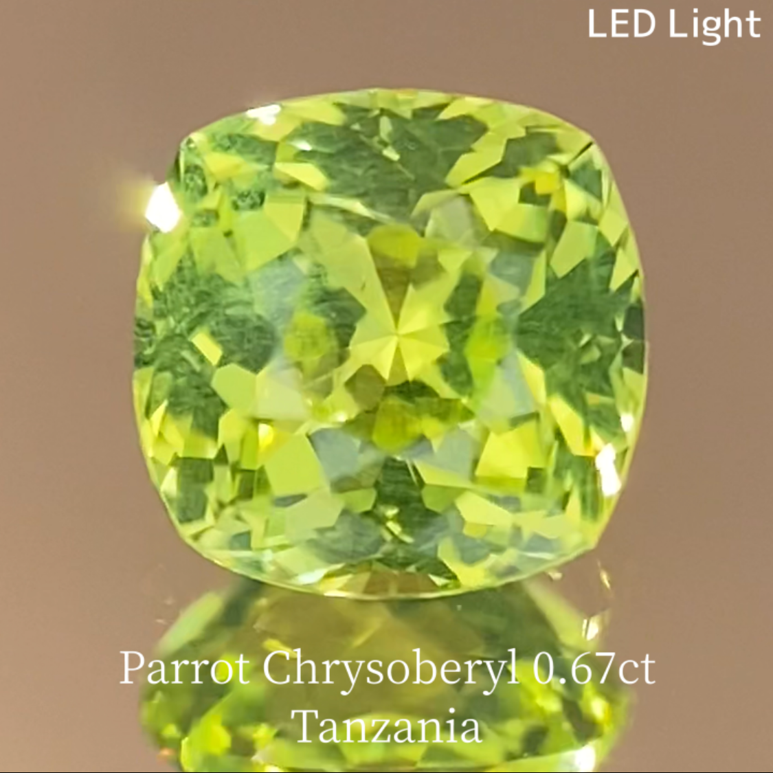 Parrot Chrysoberyl 0.685ct / Tanzania