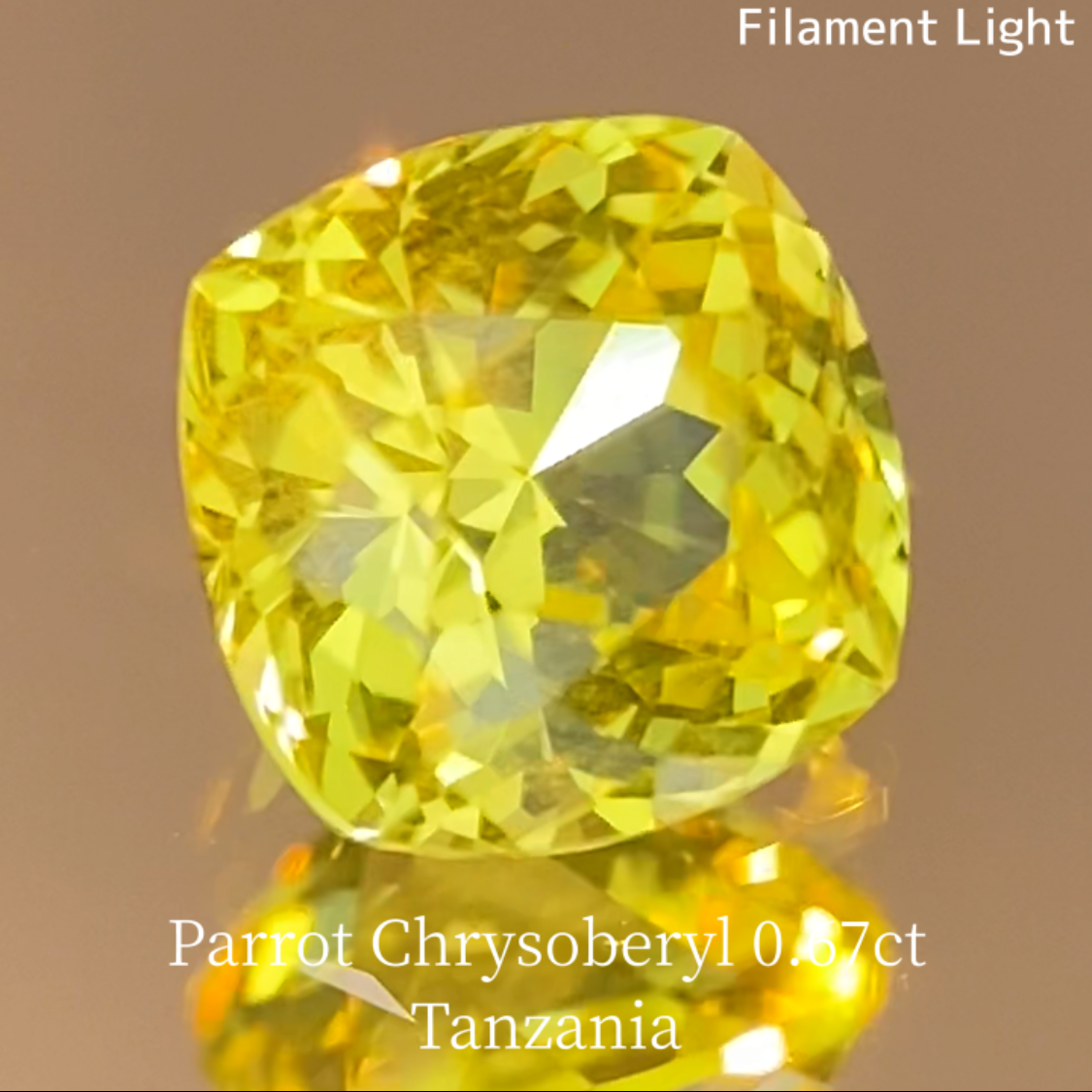 Parrot Chrysoberyl 0.685ct / Tanzania