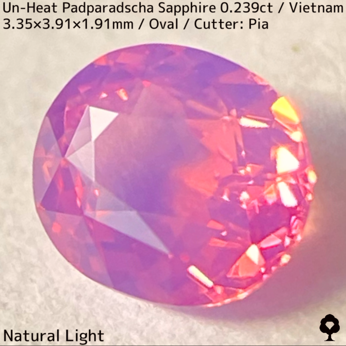 Un-Heat Padparadscha Sapphire 0.239ct / Vietnam
