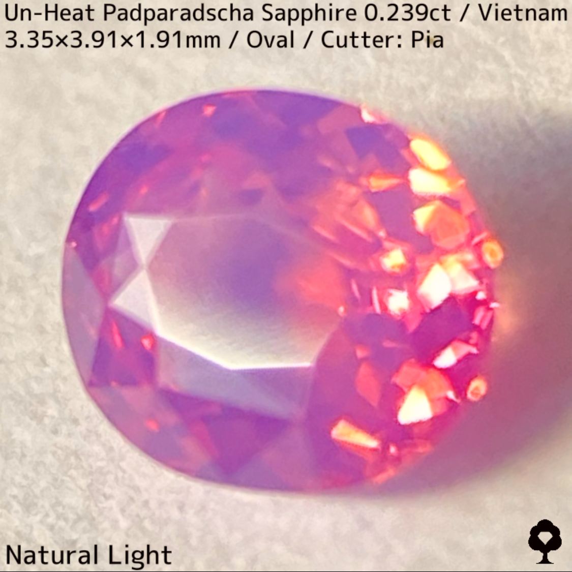 Un-Heat Padparadscha Sapphire 0.239ct / Vietnam