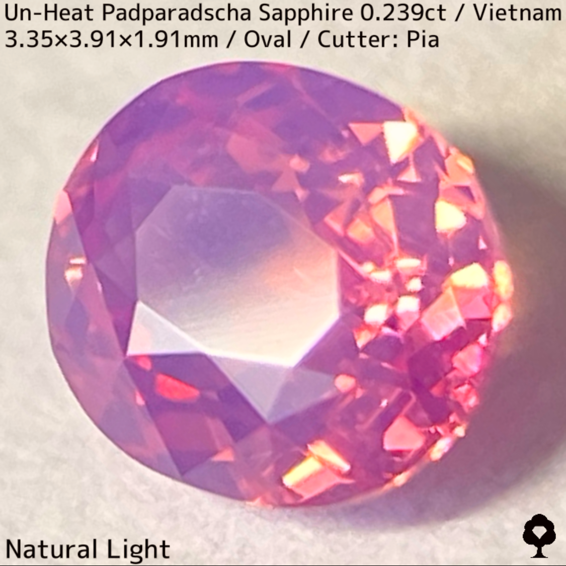 Un-Heat Padparadscha Sapphire 0.239ct / Vietnam