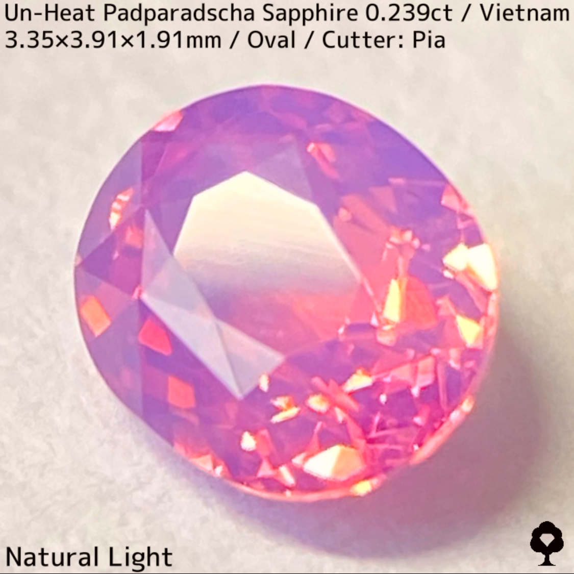 Un-Heat Padparadscha Sapphire 0.239ct / Vietnam