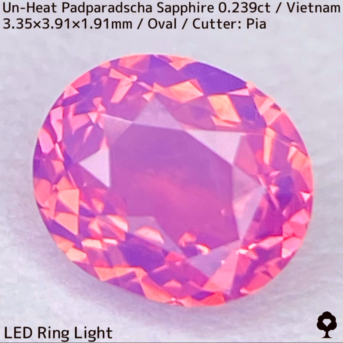 Un-Heat Padparadscha Sapphire 0.239ct / Vietnam