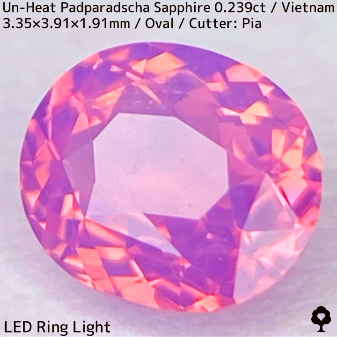 Un-Heat Padparadscha Sapphire 0.239ct / Vietnam