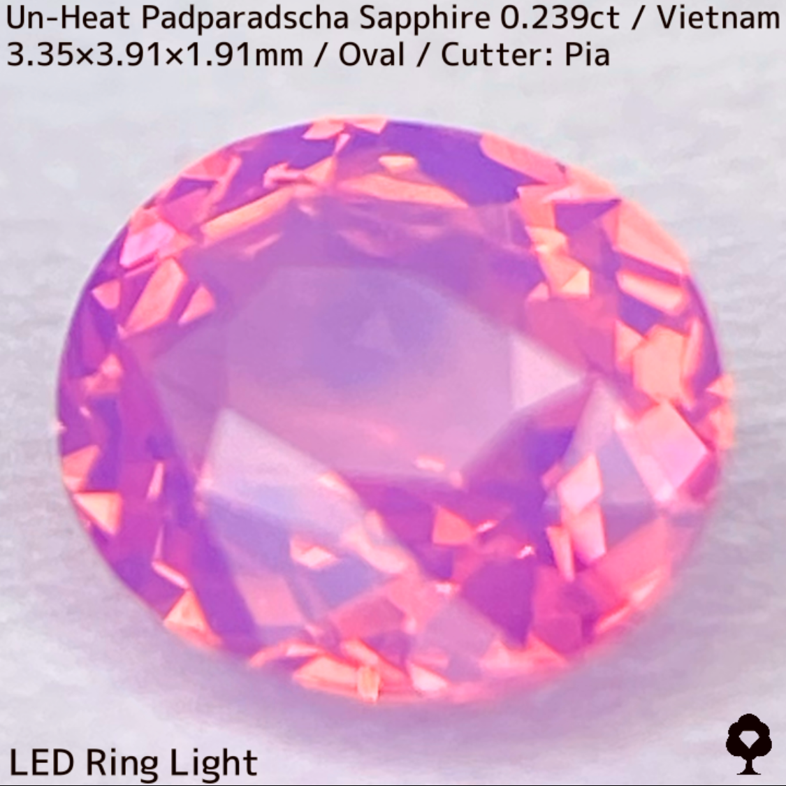 Un-Heat Padparadscha Sapphire 0.239ct / Vietnam