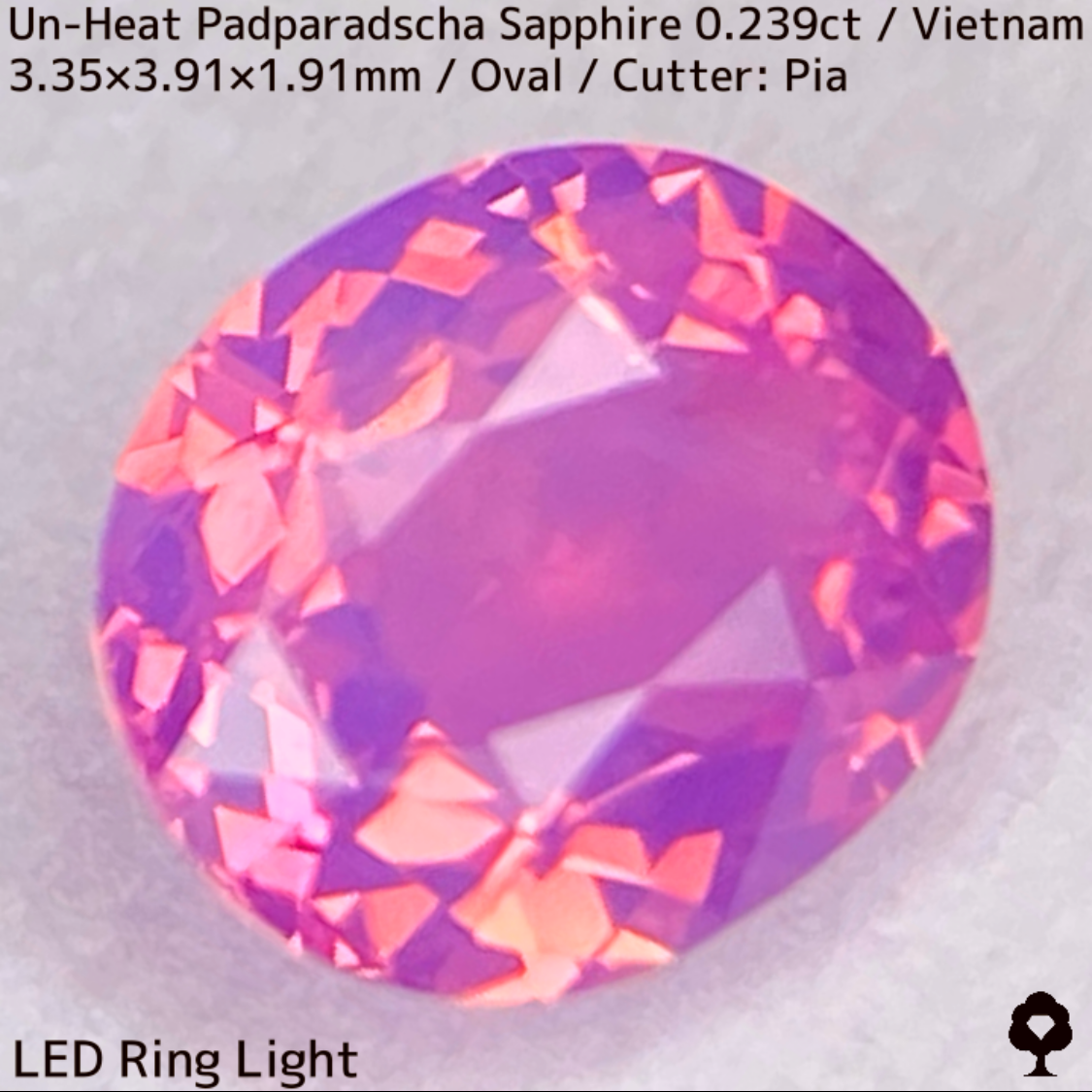 Un-Heat Padparadscha Sapphire 0.239ct / Vietnam
