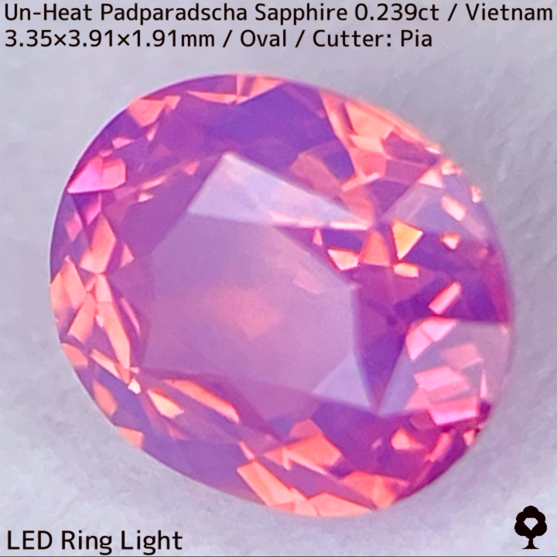Un-Heat Padparadscha Sapphire 0.239ct / Vietnam