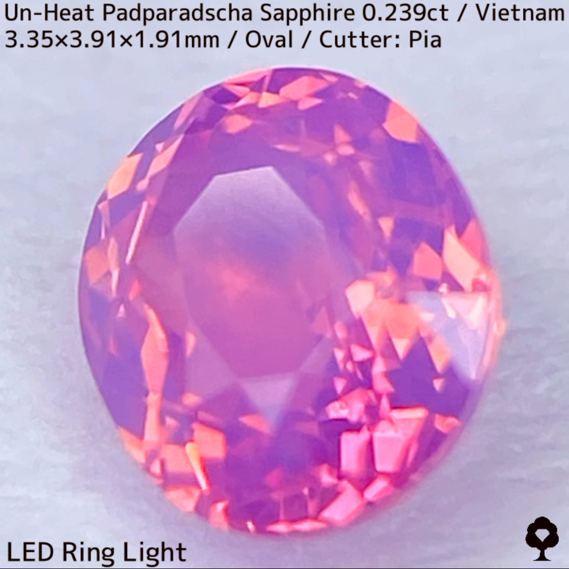 Un-Heat Padparadscha Sapphire 0.239ct / Vietnam