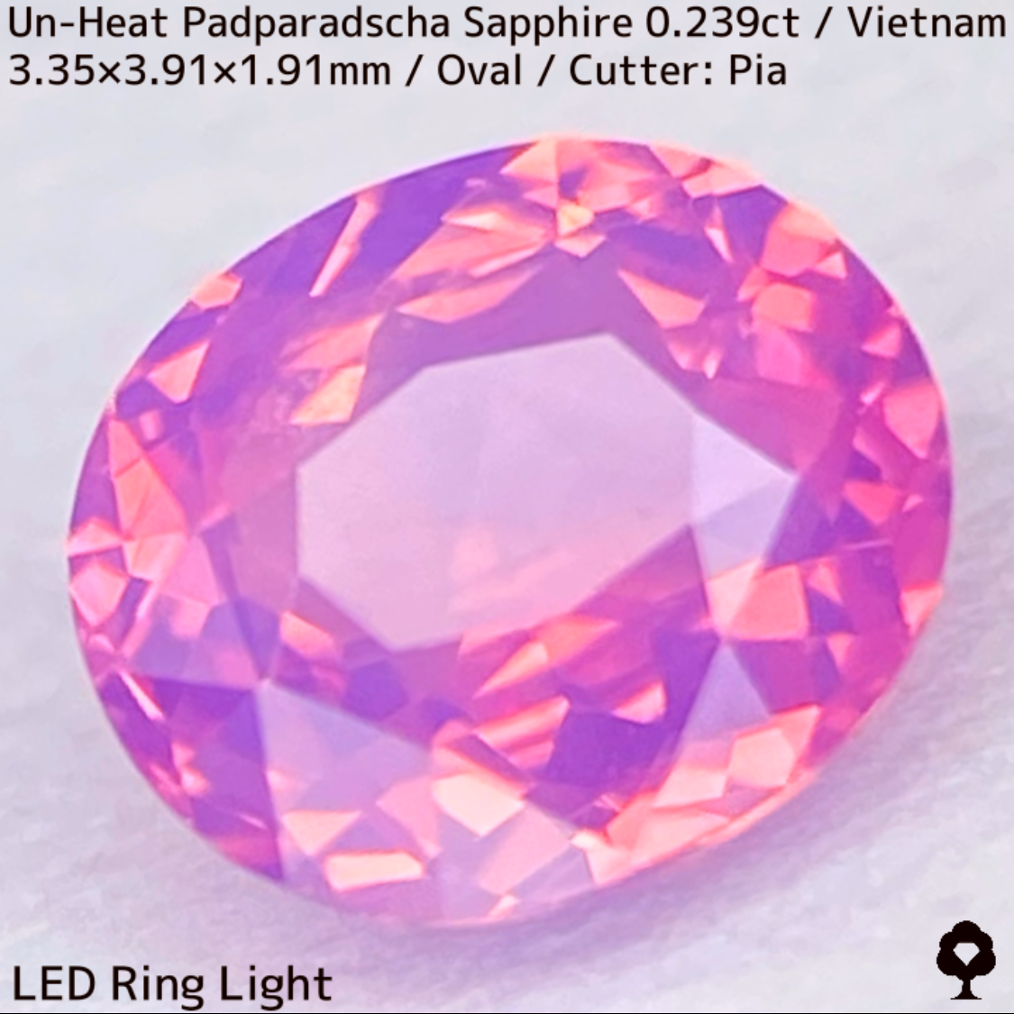 Un-Heat Padparadscha Sapphire 0.239ct / Vietnam