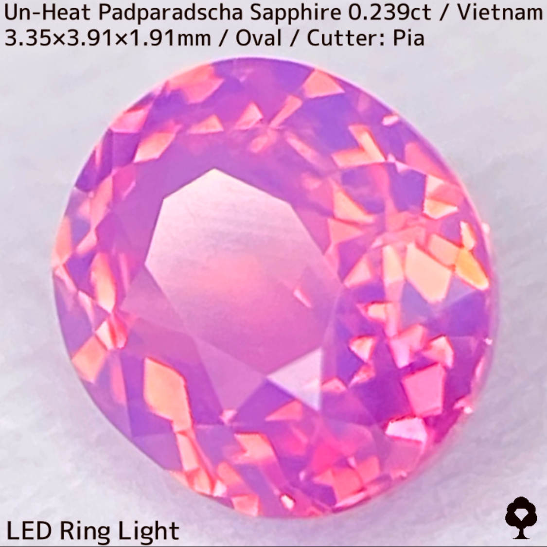 Un-Heat Padparadscha Sapphire 0.239ct / Vietnam